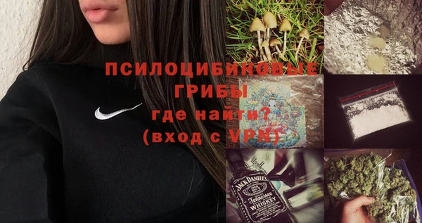 бошки Верхний Тагил