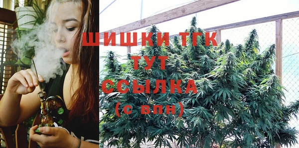 твердый Верея
